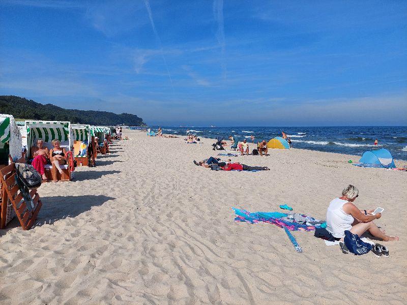 Binz8.jpg