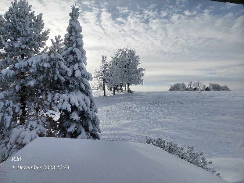 Seiffen Landschaft20.jpg