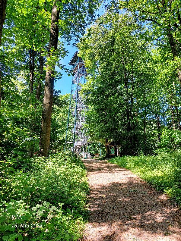 Holzbergturm1.jpg