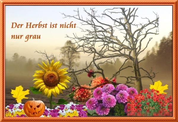 Herbstbunt23.jpg