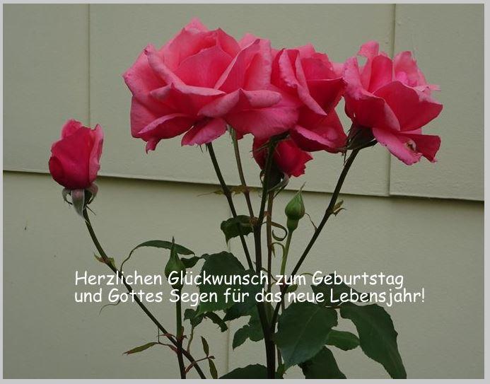 Rosen z. Geb.mit Rahmen.JPG