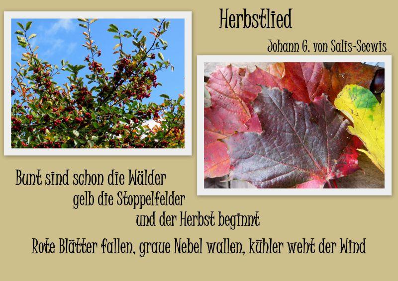 Herbst20171.jpg