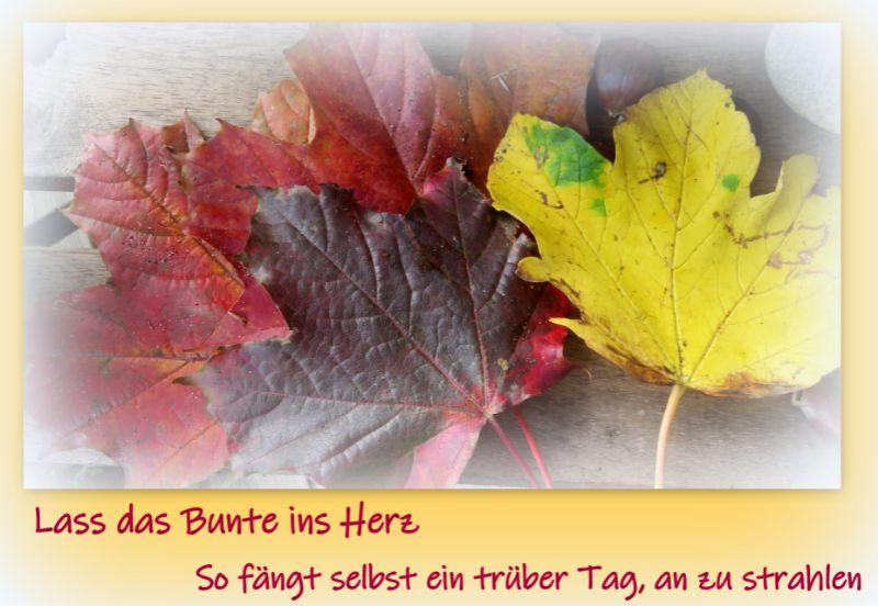 Herbst20171.jpg