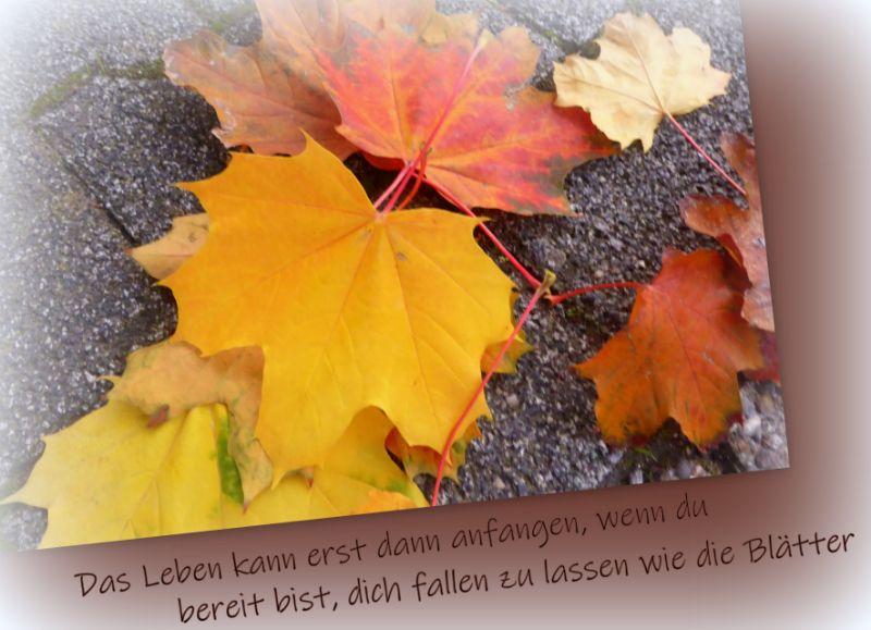 Herbst20172.jpg