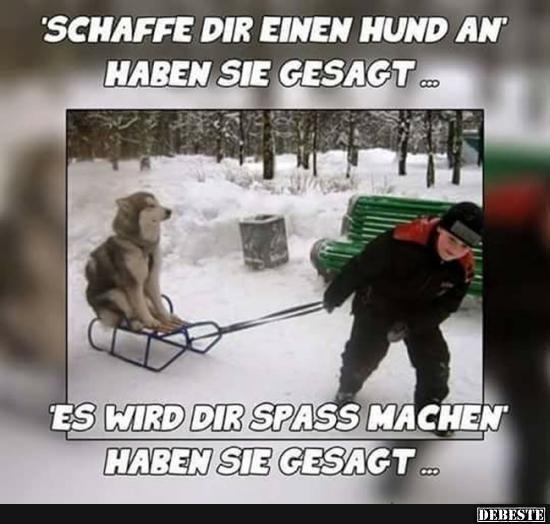 hund-anschaffen.jpg