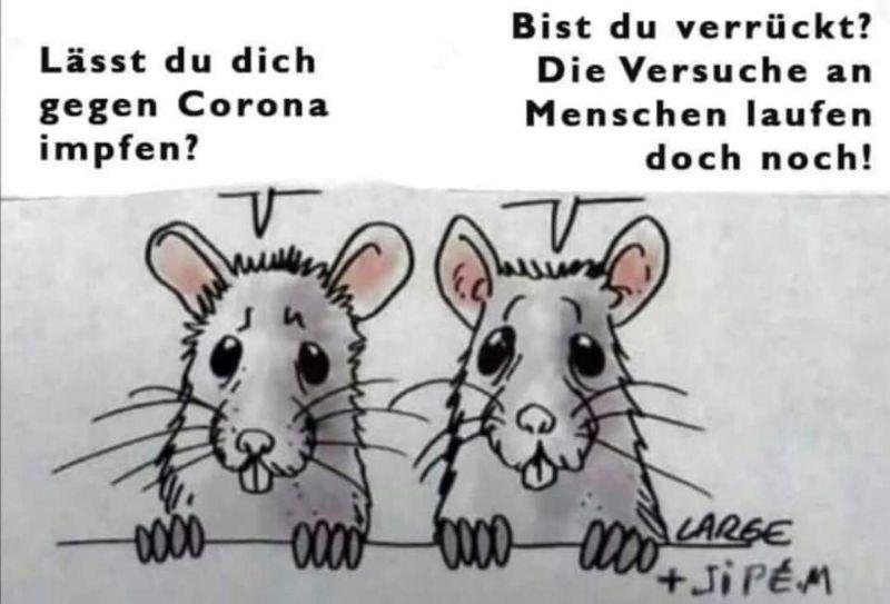 Maus.jpg