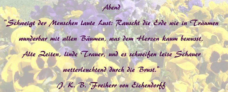 Gedicht _ Abend.jpg