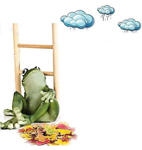 Frosch _ Regen.JPG