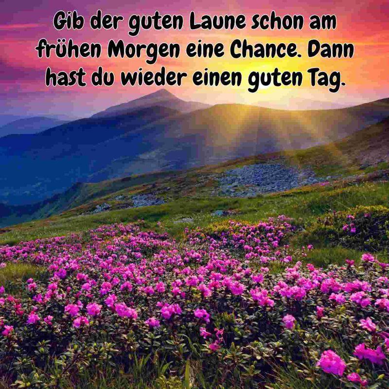 Guten-Morgen-Bilder-für-Whatsapp-mit-Sonnenaufgang-im-Gebirge-und-pinken-Blumen.jpg