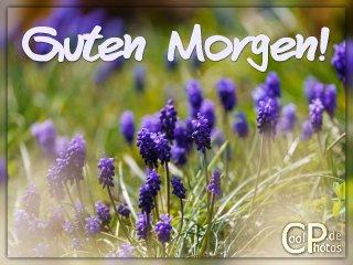 0409_00142_guten_morgen.jpg