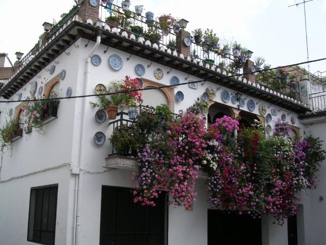 Andalucia Juni 04 041 (640x480).jpg