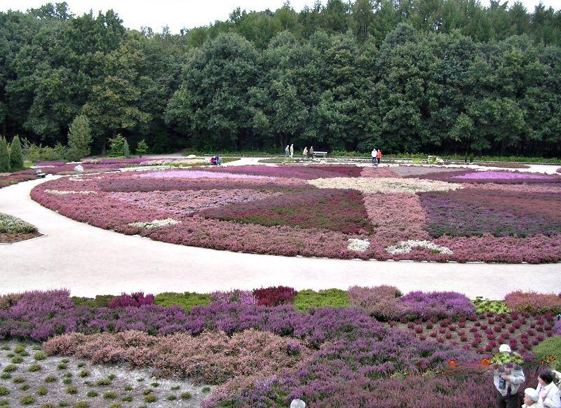 Lüneburger Heide 154.jpg