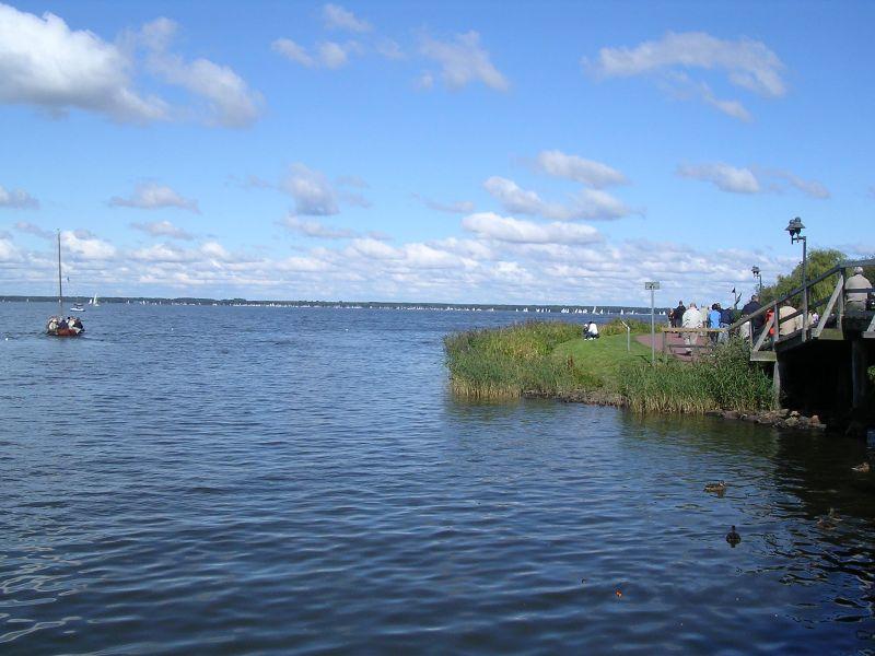 Lüneburger Heide 004.jpg