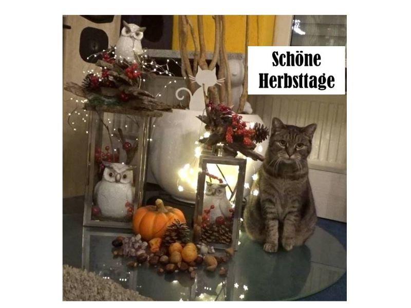 Schöne Herbsttage (2).jpg