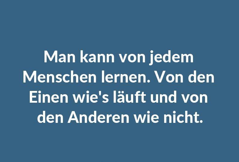 man-kann-von-jedem-menschen-lernen-von-den-einen-wie-s-laeuft-und-von-den-anderen-wie-nicht.jpg.pagespeed.ce.gJ7jmFG0qZ.jpg