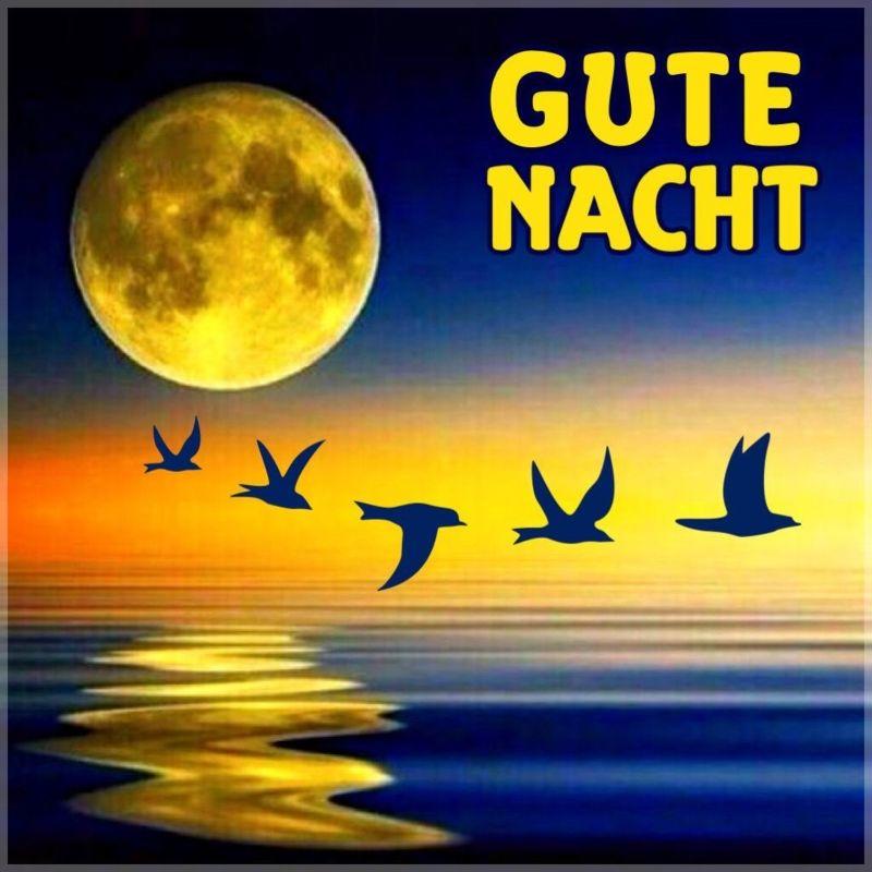 Gute-Nacht-bilder-für-WhatsApp-kostenlos-884.jpg