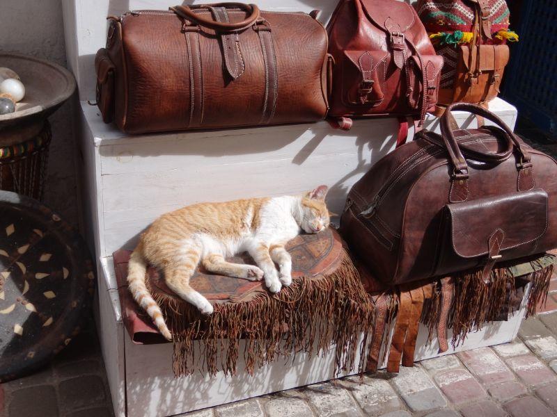 in der Medina von Essaouira..jpg