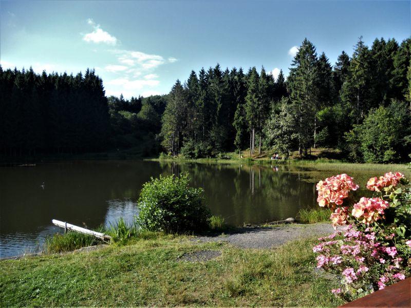 Rothsee b. Bischofsheim 006 (2).JPG