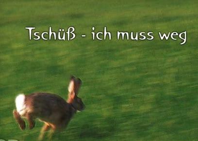 tschüss hase.jpg