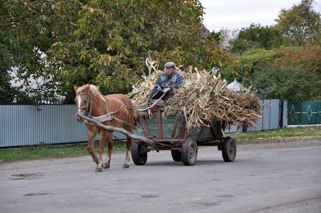 das-dorf-des-firmans-lässt-einen-vier-fahrbaren-wagen-mit-mais-beladener-antriebsscheibe-laufen-130248542.jpg