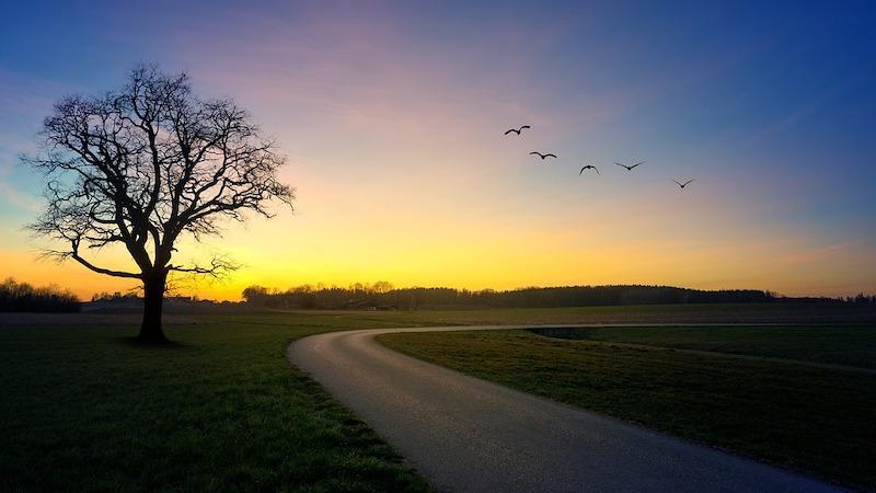 Abenddämmerung.jpg