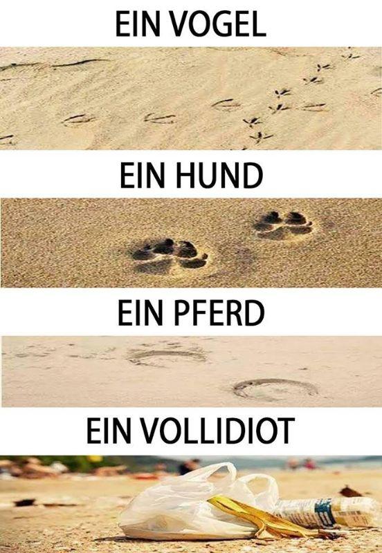 Vollidiot.jpg