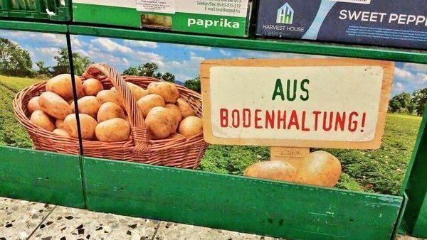 kartoffeln-aus-bodenhaltung-300x169@2x.jpg