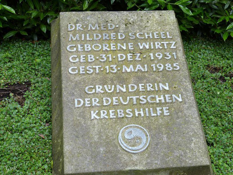 alter friedhof Bonn 21.6.2016 060 Kopie.jpg