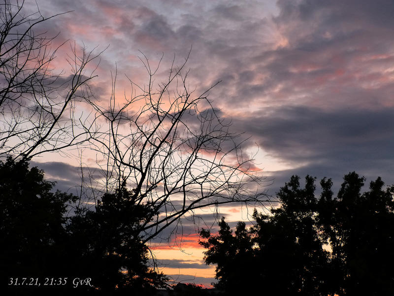 Wolken 1.8.21 018 Kopie.jpg