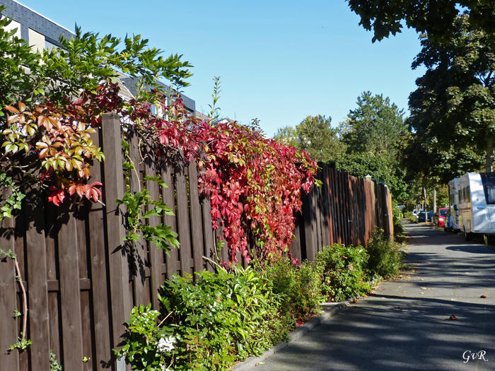 Spaziergang 25.9.21 044 Kopie.jpg