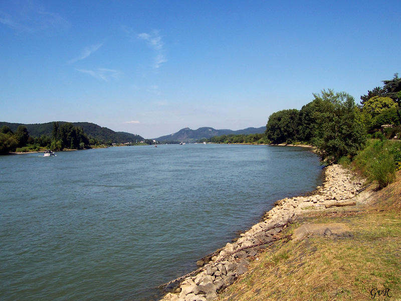 Rhein bei Unkel 039.jpg