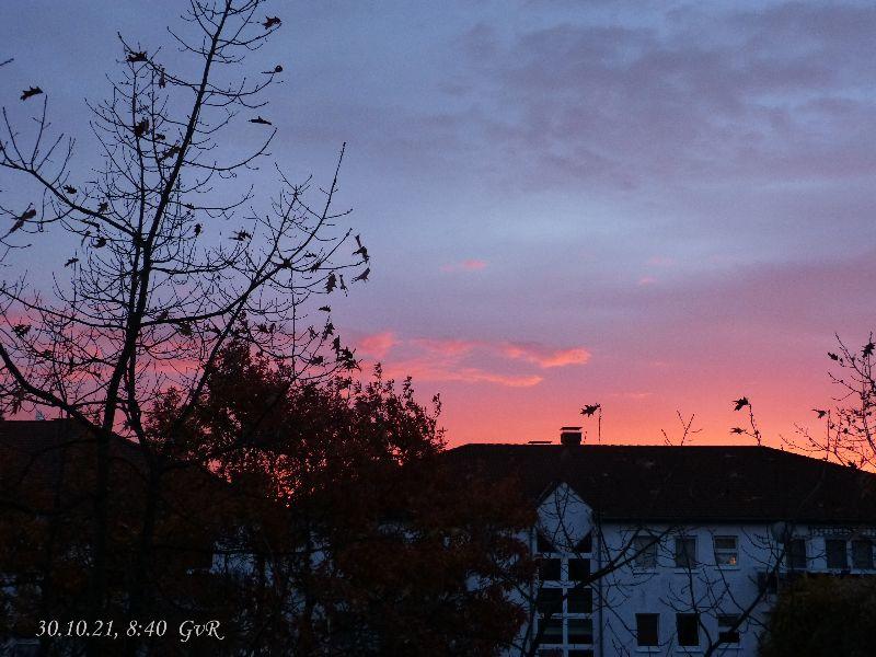 Sonnenaufgang 30.10.21 012.jpg