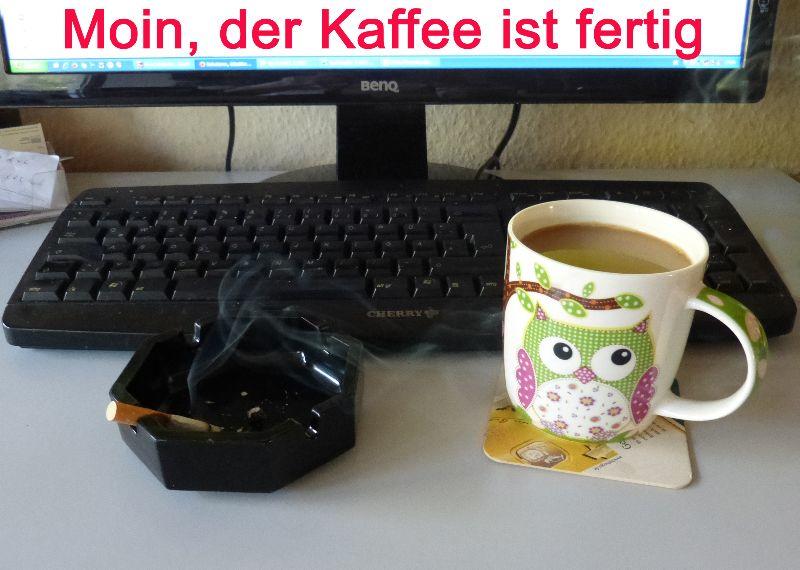 Moin 025.jpg