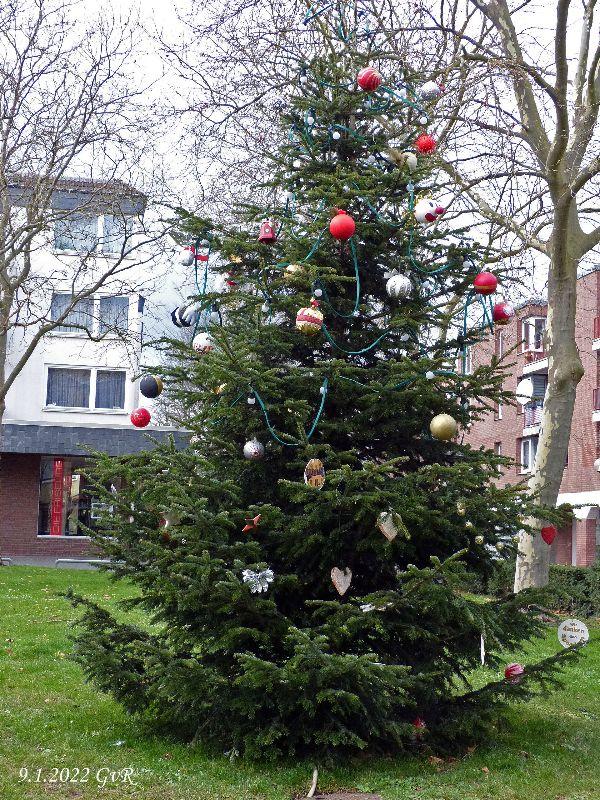 Weihnachten 002 Kopie.jpg