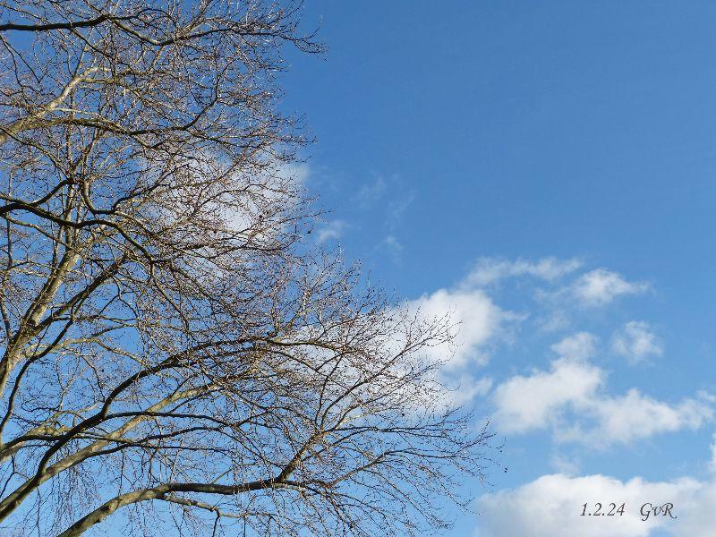 Blauer Himmel P1330315.jpg