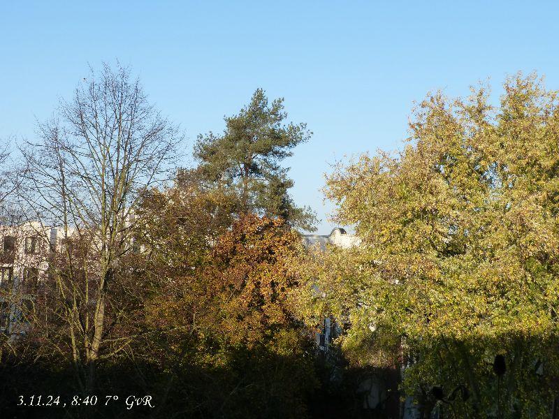 Herbst 3.11.jpg