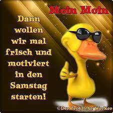 guten morgen sonnabend ente mit brille.jpg