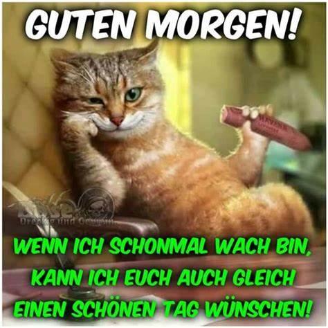 guten morgen sonnabend katze mit zigarre.jpg