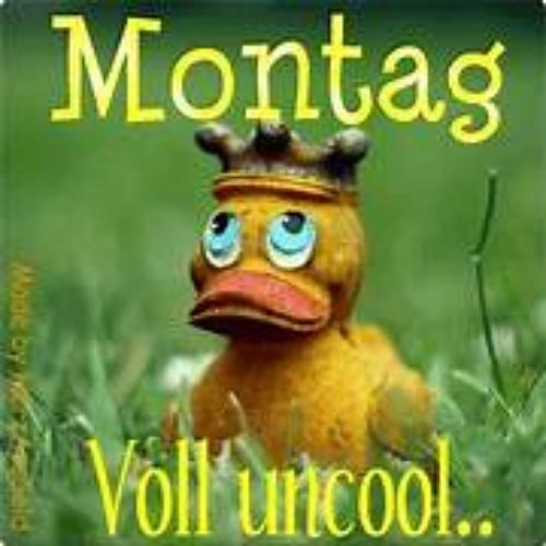 montag lustig.jpg