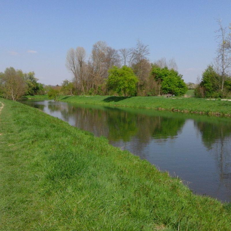 Nidda-AF.jpg