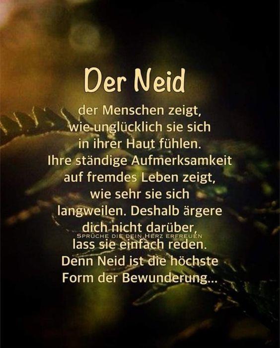 Spruch 4.jpg