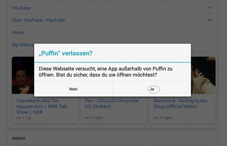 puffinsuche2.jpg