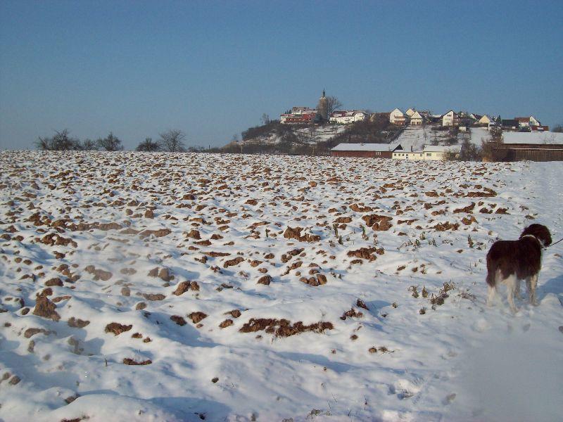 SchneeBürg.jpg