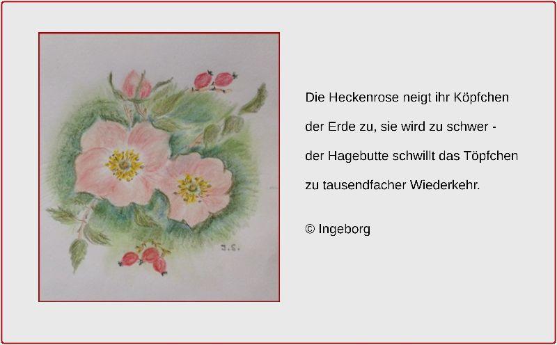 HeckRos-Gedicht-4053.JPG