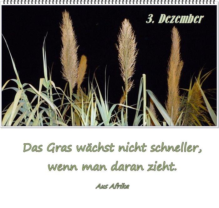 3. Dezember +.jpg