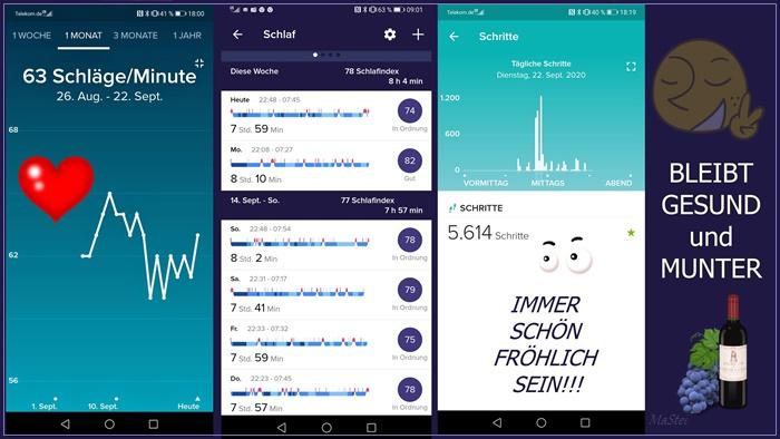 Schlaf + Puls + Schritte gut 700.jpg