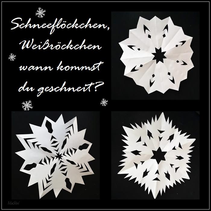 Schneeflöckchen.jpg