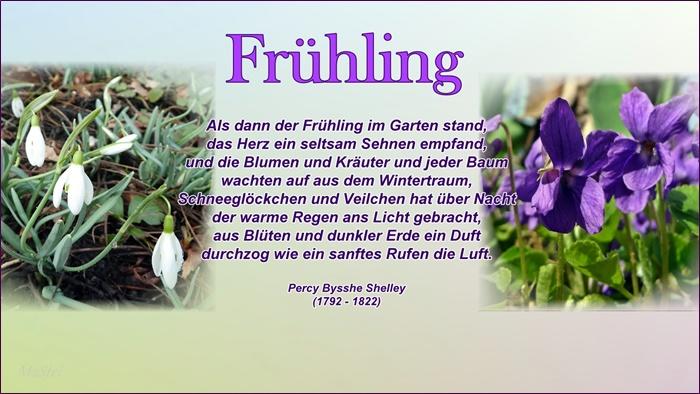 FRÜHLING 700.jpg