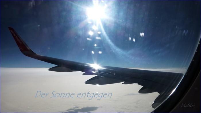 P1100174 Flieger der Sonne entgegen für Anjeli.JPG