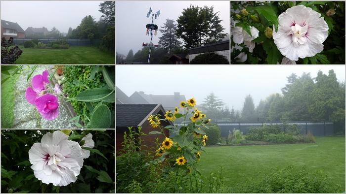 Herbst im August 2 700.jpg